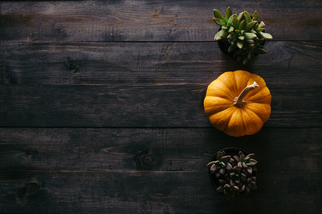 Photo Seasonal vegetables