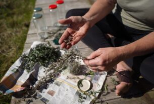 Photo Adaptogenic herbs