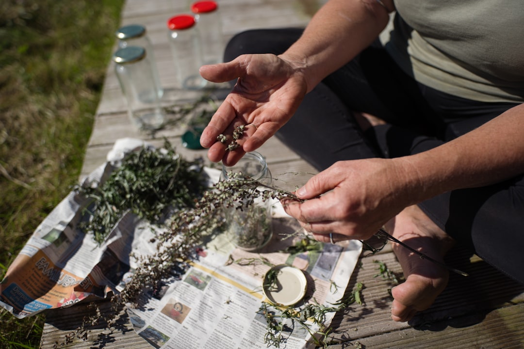 Photo Adaptogenic herbs