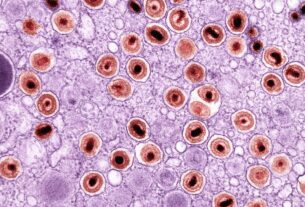Photo psylocybina