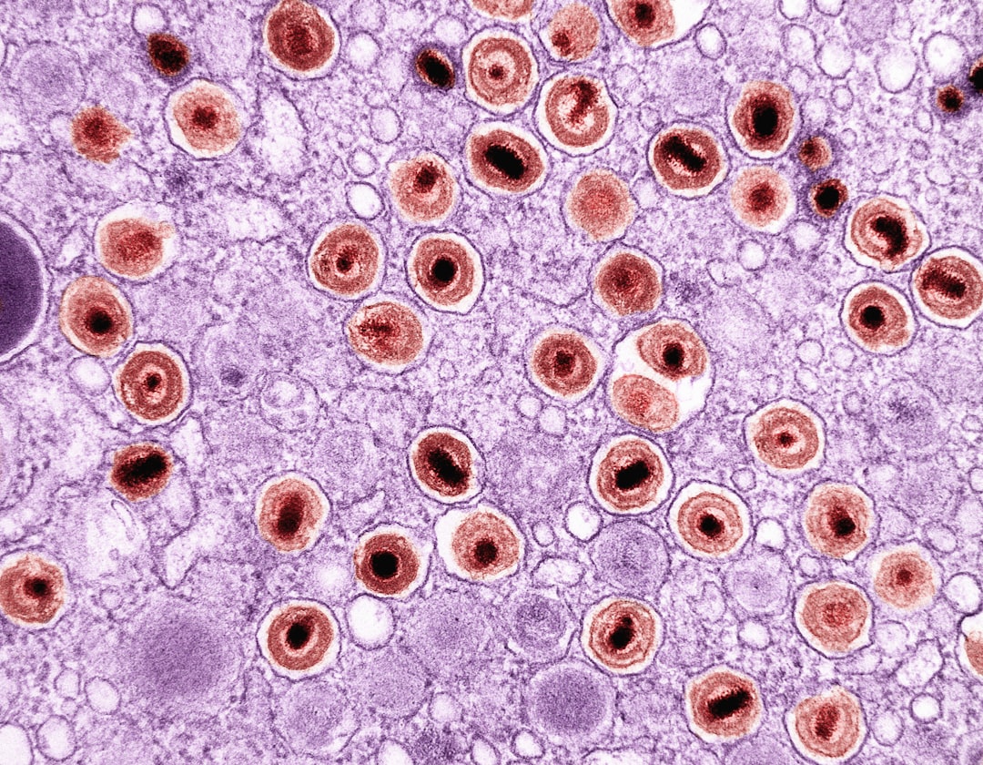 Photo psylocybina